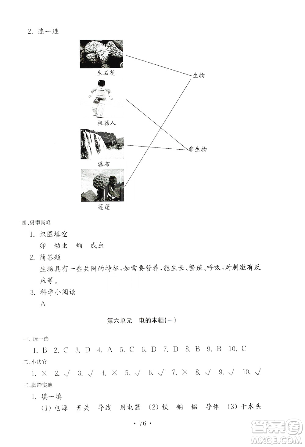 山東教育出版社2021年小學(xué)科學(xué)金鑰匙試卷四年級下冊青島版答案