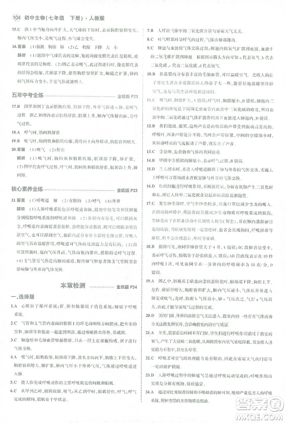 首都師范大學(xué)出版社2021年5年中考3年模擬生物七年級下冊人教版參考答案