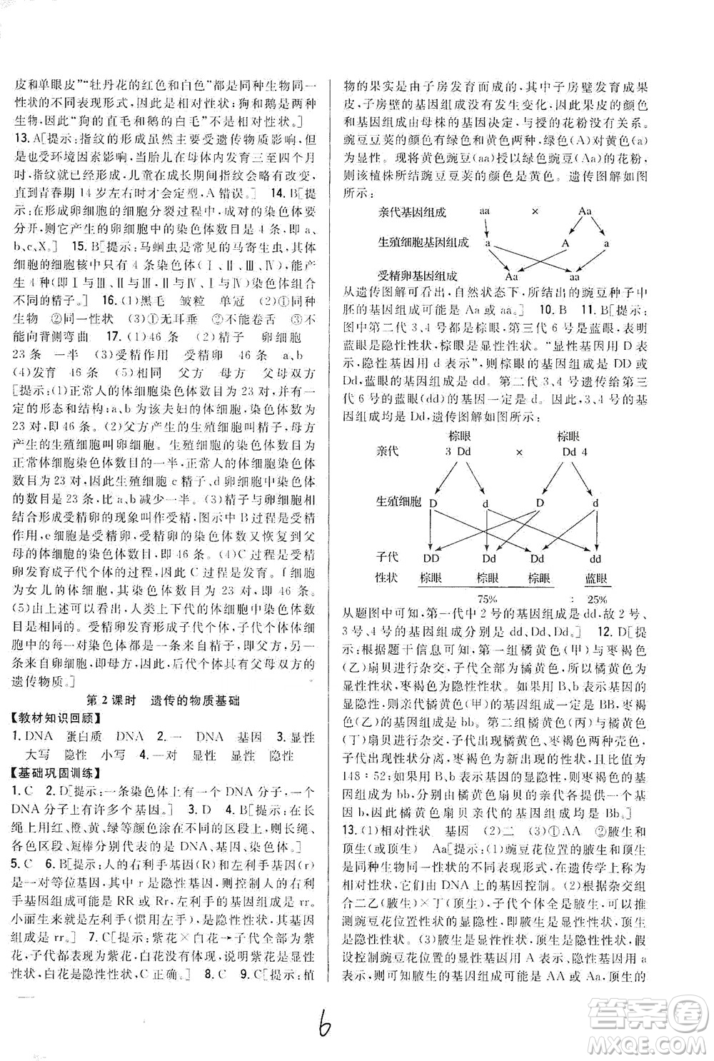 吉林人民出版社2021全科王同步課時練習(xí)生物八年級下冊新課標(biāo)翼少版答案
