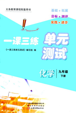山東畫報出版社2021一課三練單元測試化學九年級下冊人教版答案
