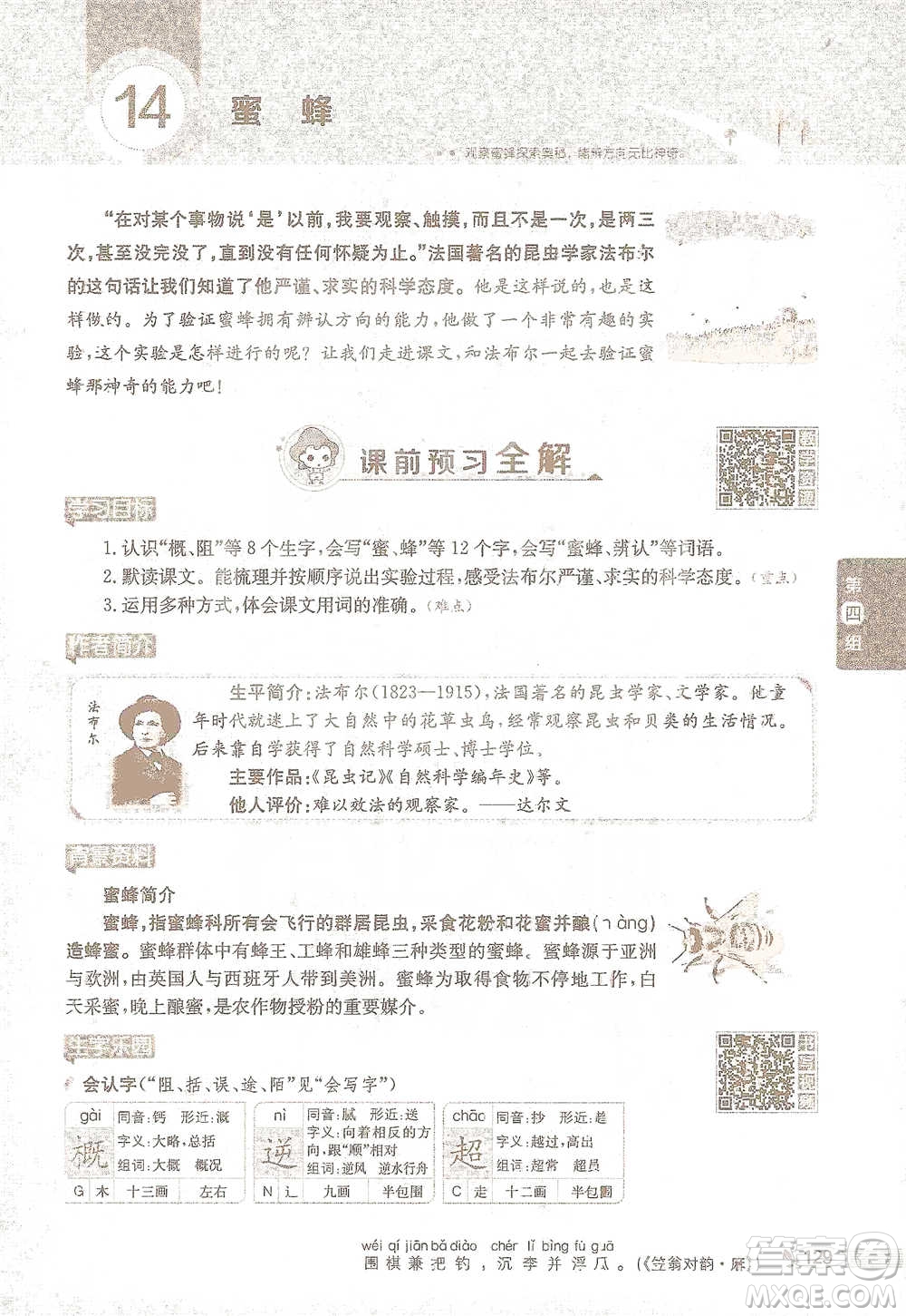 陜西人民教育出版社2021小學(xué)教材全解三年級語文下冊人教版參考答案