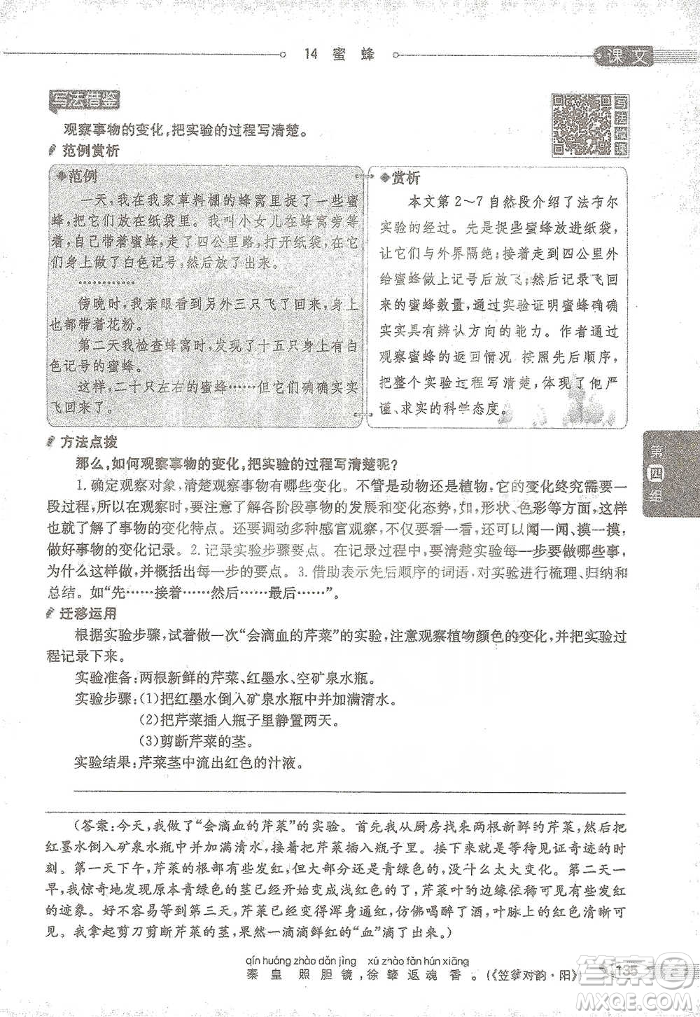 陜西人民教育出版社2021小學(xué)教材全解三年級語文下冊人教版參考答案