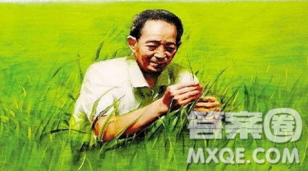 觀紀錄片袁隆平有感作文400字 關于觀紀錄片袁隆平有感的作文400字