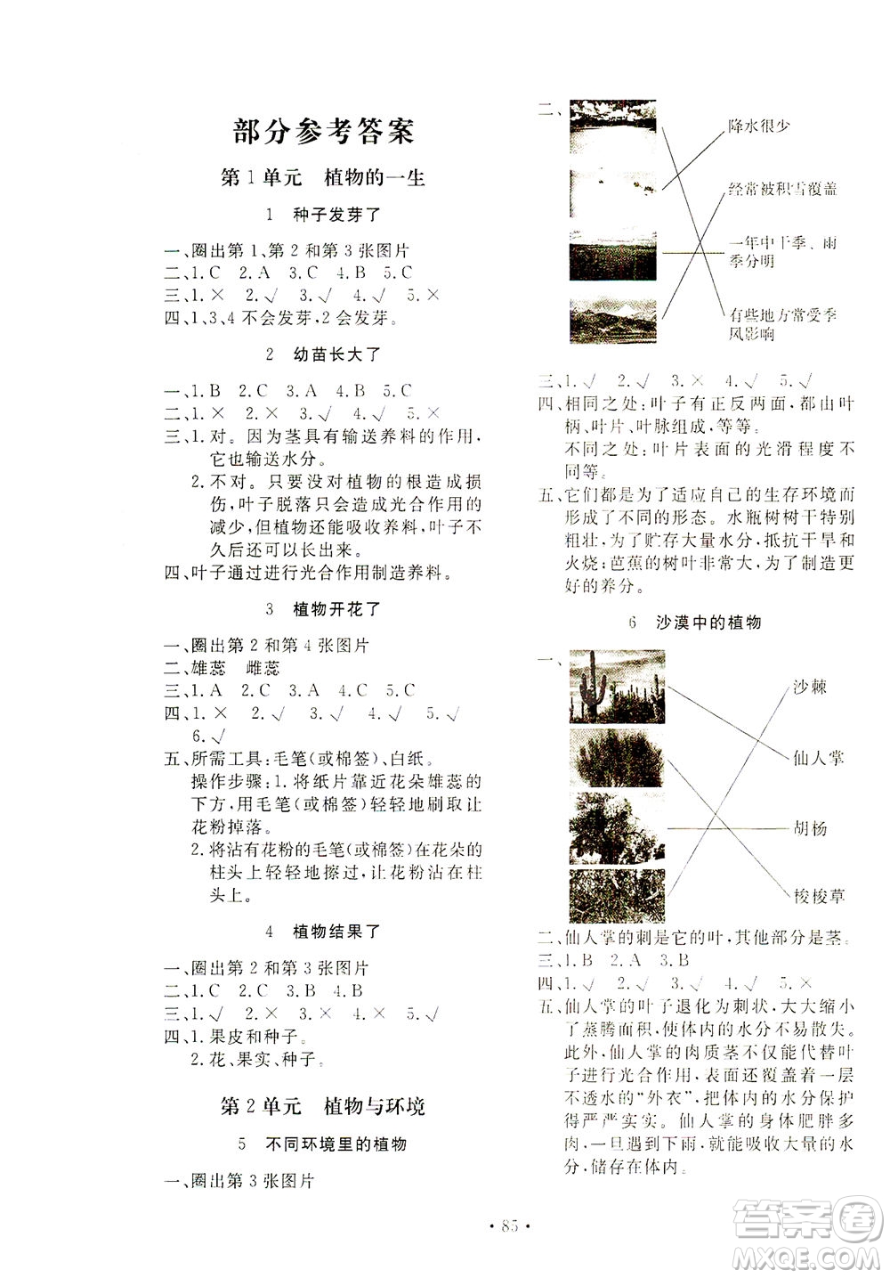 北京教育出版社2021新課堂同步訓練科學三年級下冊江蘇版答案