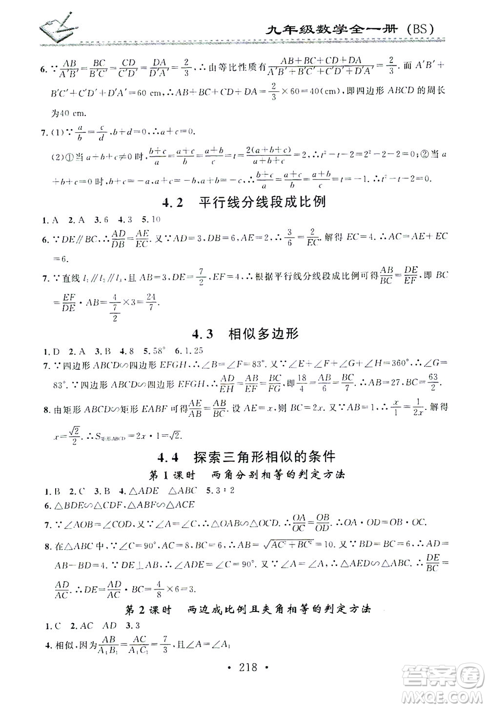 廣東經(jīng)濟(jì)出版社2021名校課堂小練習(xí)數(shù)學(xué)九年級(jí)全一冊(cè)BS北師大版答案