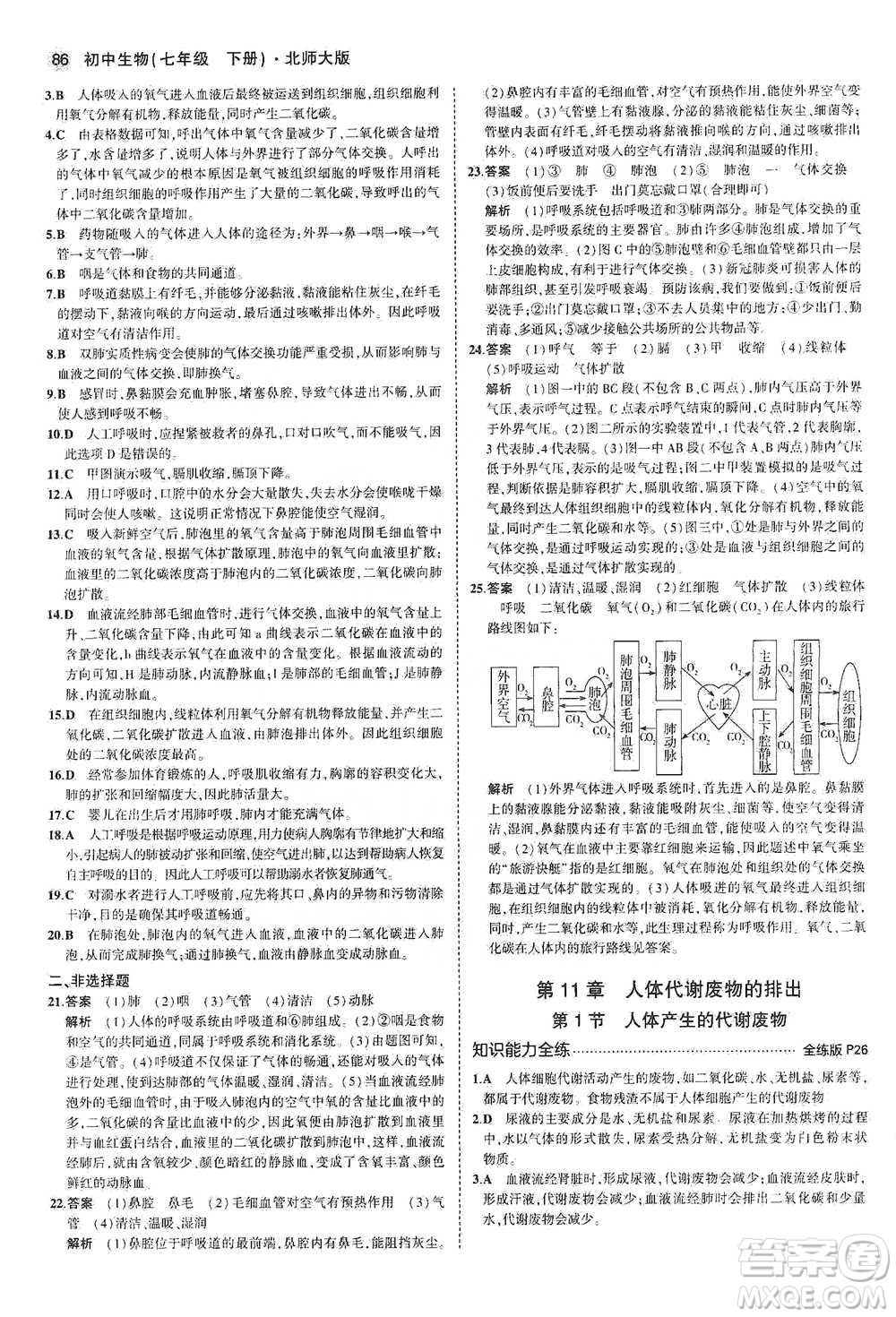 教育科學(xué)出版社2021年5年中考3年模擬初中生物七年級下冊北師大版參考答案