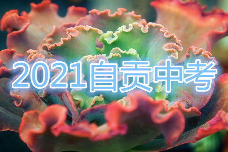 四川省自貢市初2021屆畢業(yè)生學業(yè)考試英語試題及答案