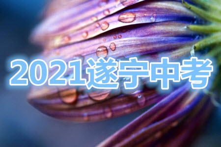 遂寧市2021年初中畢業(yè)暨高中階段學(xué)校招生考試英語試卷及答案