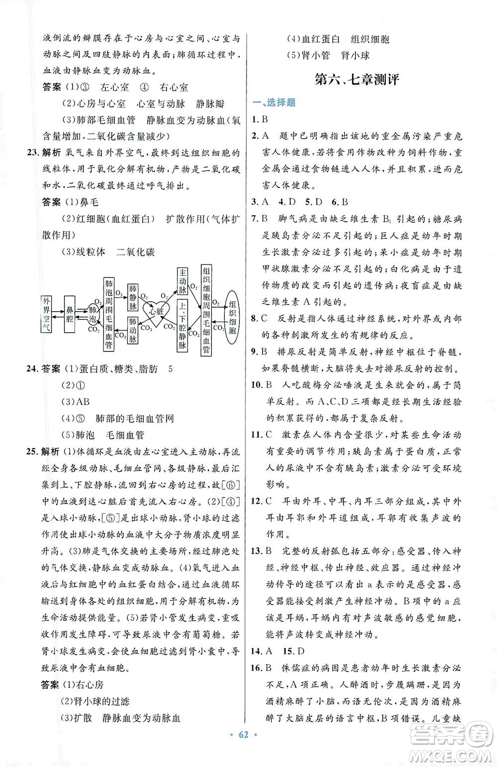 人民教育出版社2021初中同步測(cè)控優(yōu)化設(shè)計(jì)七年級(jí)生物下冊(cè)人教版答案