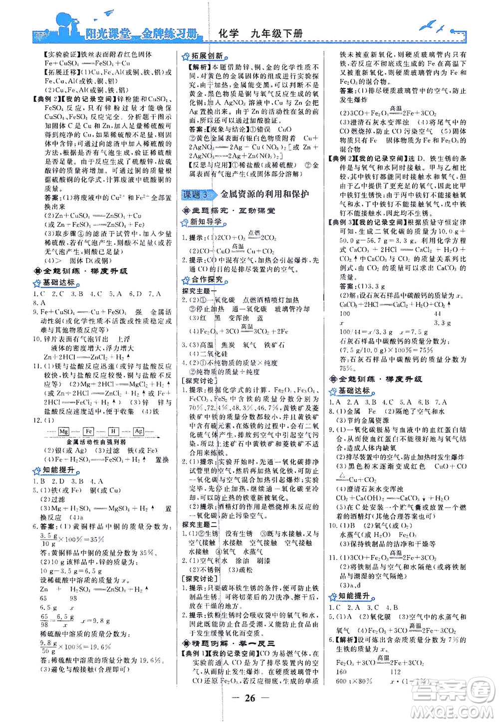 人民教育出版社2021陽光課堂金牌練習(xí)冊化學(xué)九年級下冊人教版答案
