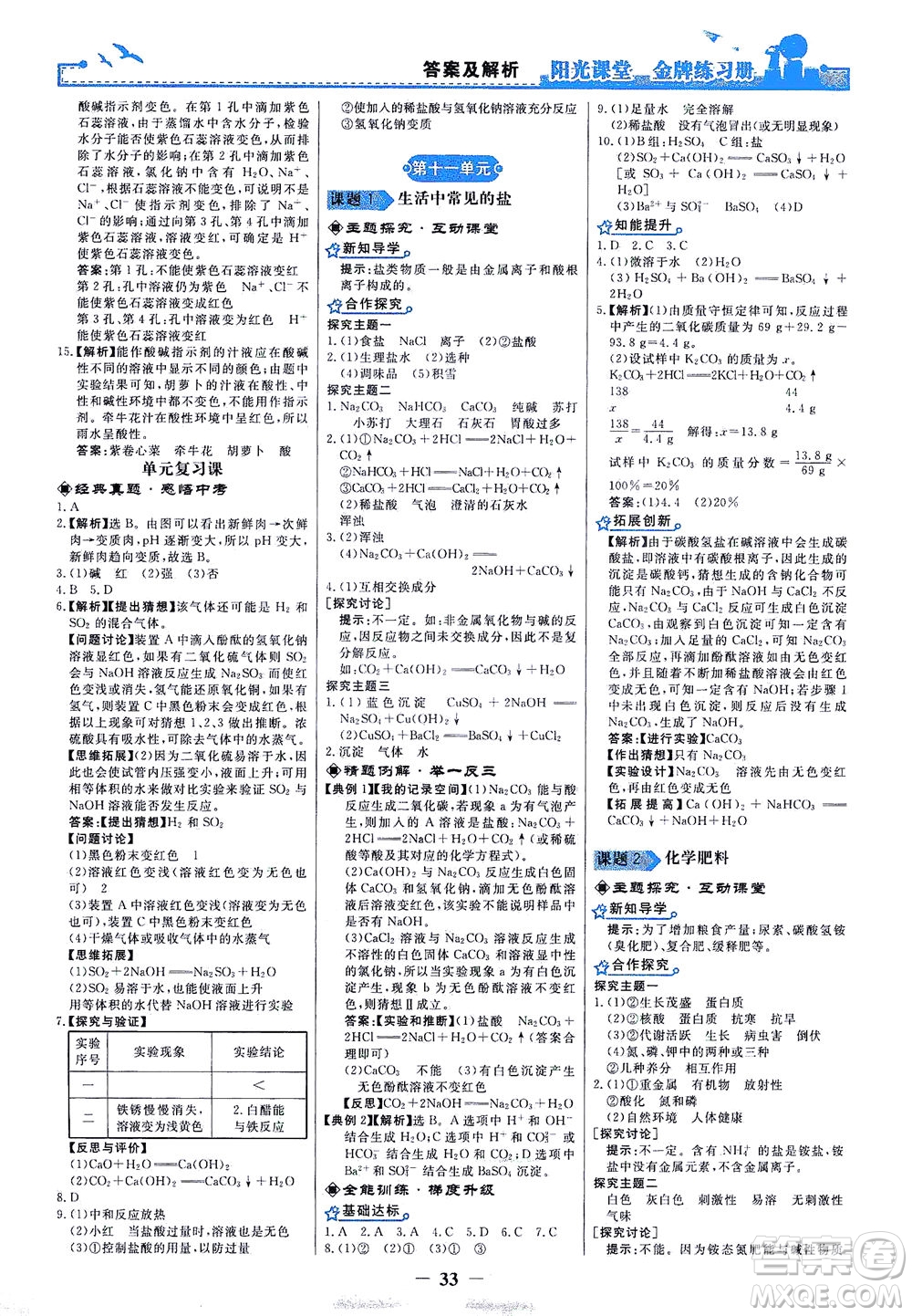 人民教育出版社2021陽光課堂金牌練習(xí)冊化學(xué)九年級下冊人教版答案