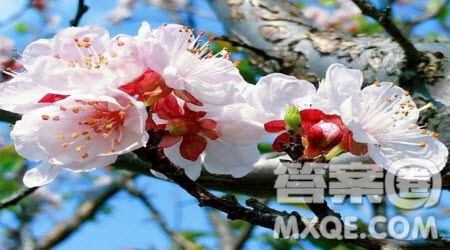 每個人都在認識自我完善自我的過程中成長記敘文作文600字 關于每個人都在認識自我完善自我的過程中成長的記敘文作文600字