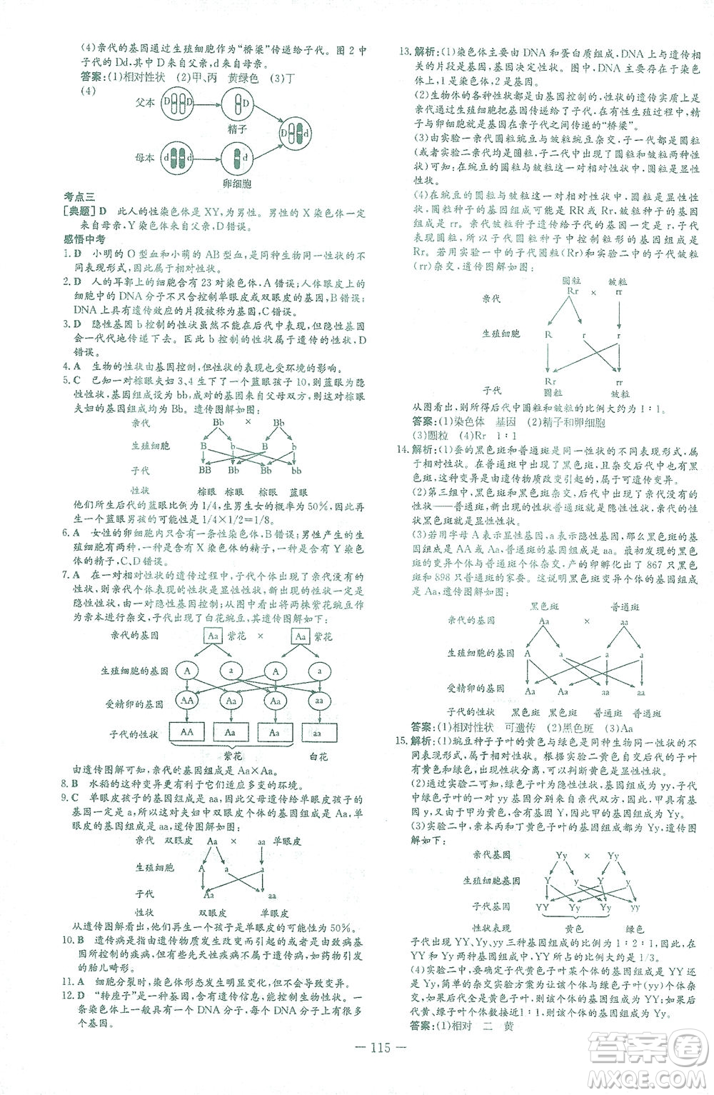 新世紀(jì)出版社2021初中同步學(xué)習(xí)導(dǎo)與練八年級(jí)生物下冊人教版答案