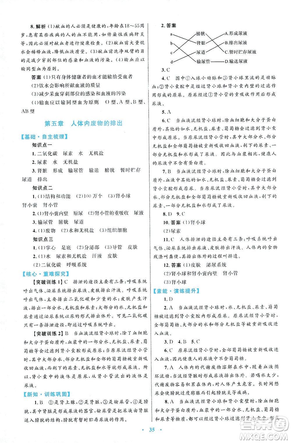 內(nèi)蒙古教育出版社2021學習目標與檢測七年級生物下冊人教版答案
