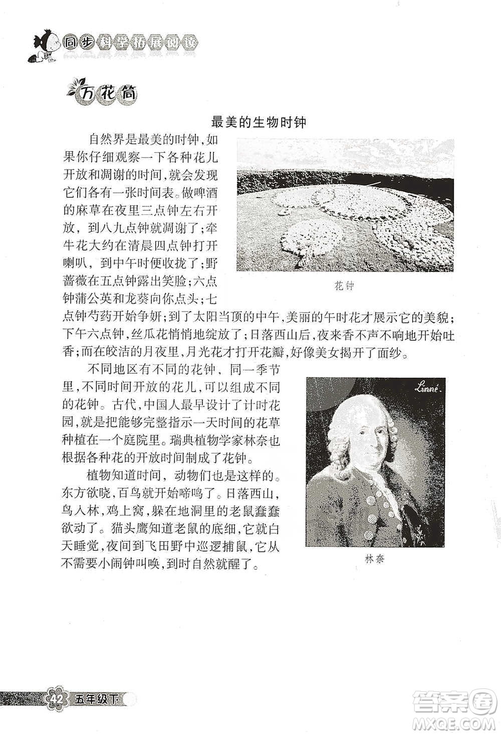 浙江教育出版社2021同步科學拓展閱讀五年級下冊教科版參考答案