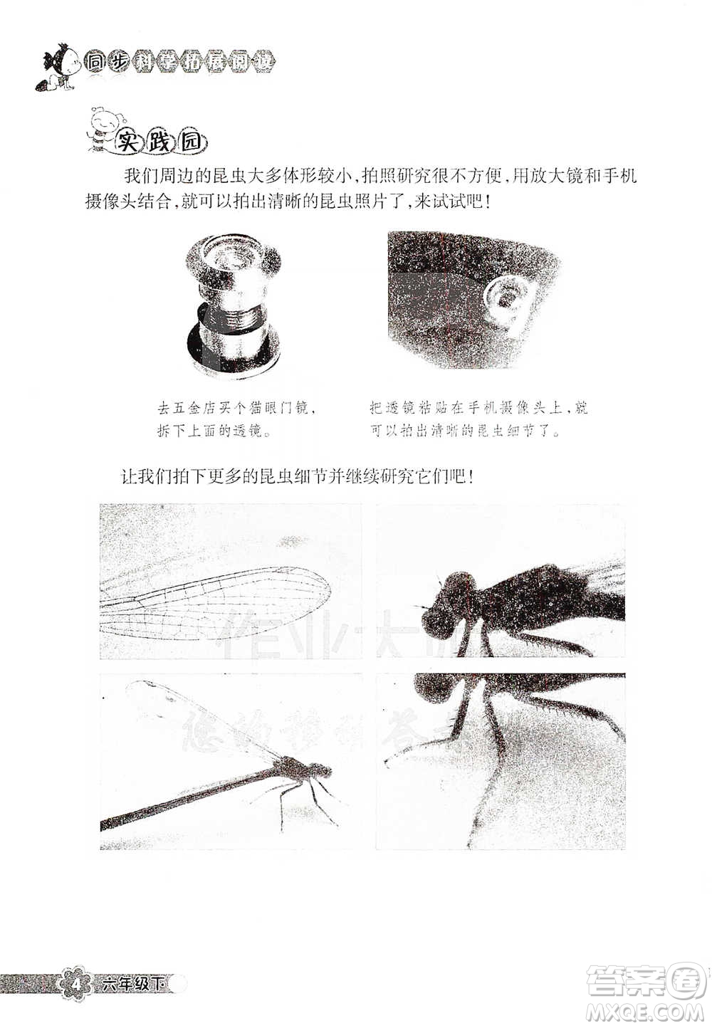 浙江教育出版社2021同步科學拓展閱讀六年級下冊教科版參考答案