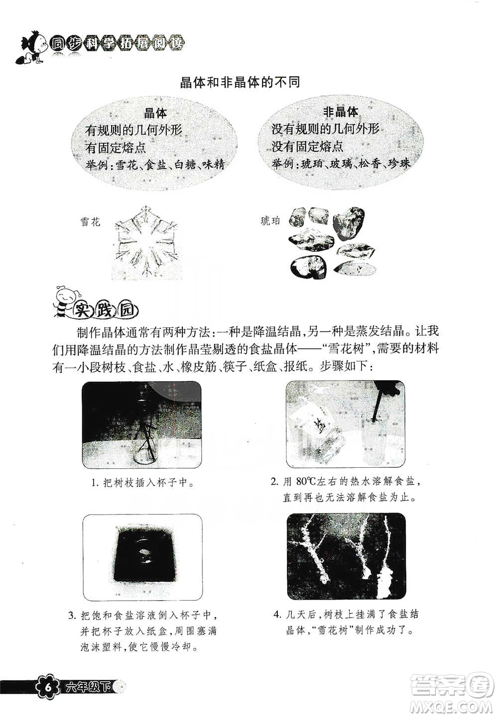 浙江教育出版社2021同步科學拓展閱讀六年級下冊教科版參考答案
