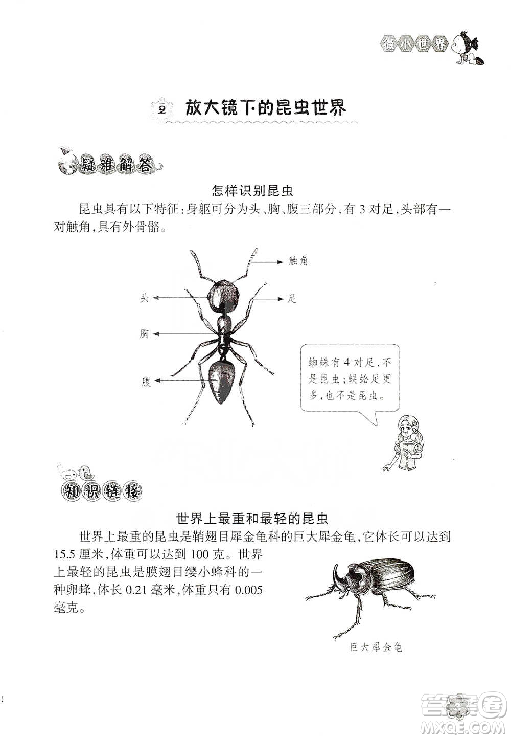 浙江教育出版社2021同步科學拓展閱讀六年級下冊教科版參考答案