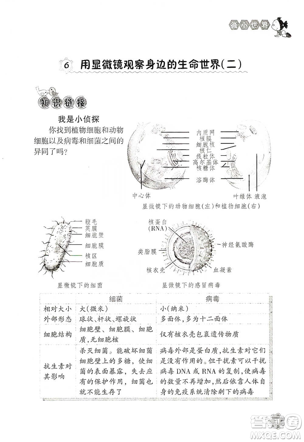 浙江教育出版社2021同步科學拓展閱讀六年級下冊教科版參考答案