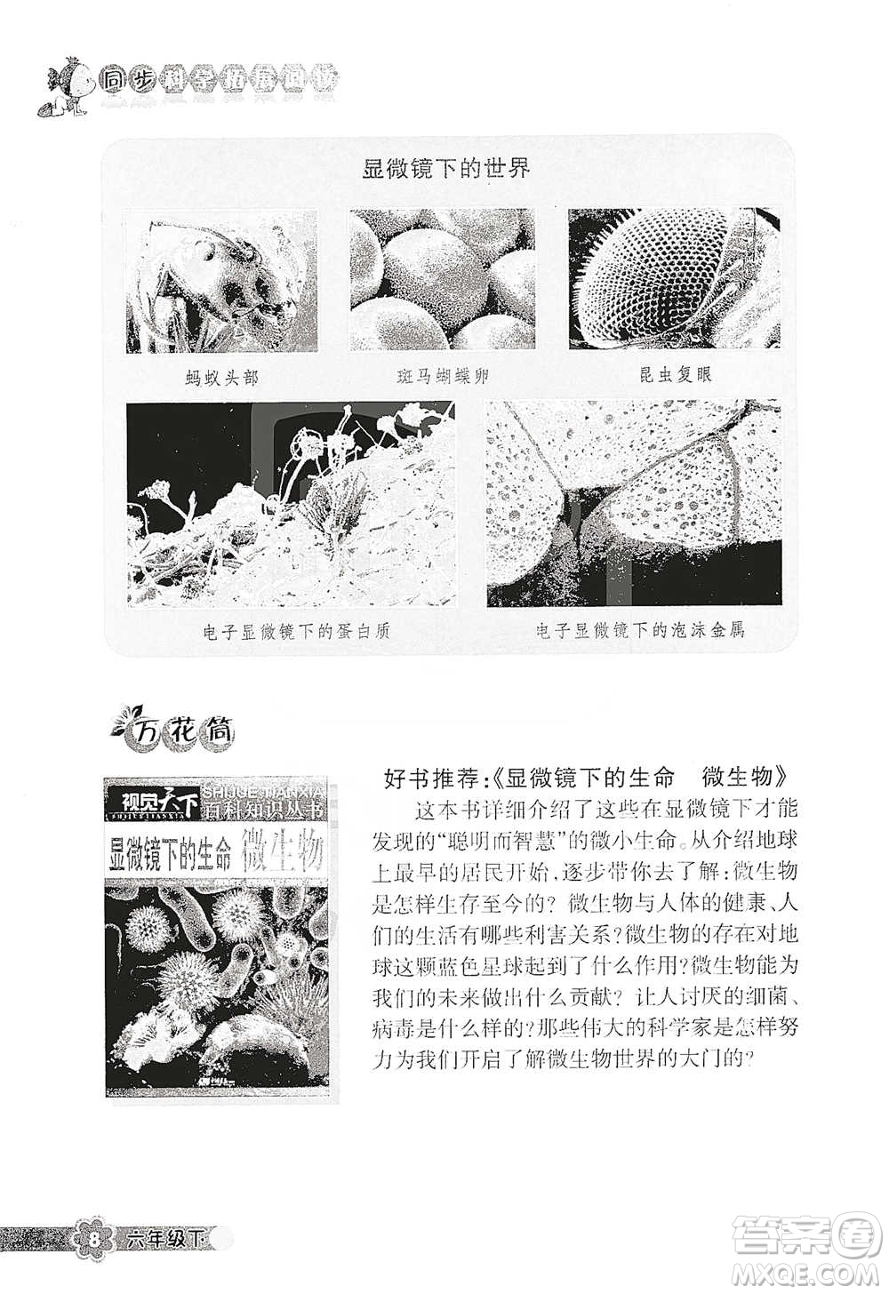 浙江教育出版社2021同步科學拓展閱讀六年級下冊教科版參考答案