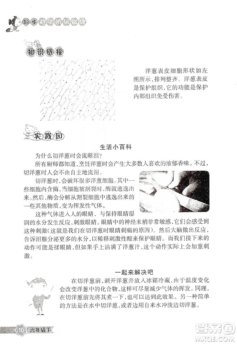 浙江教育出版社2021同步科學拓展閱讀六年級下冊教科版參考答案