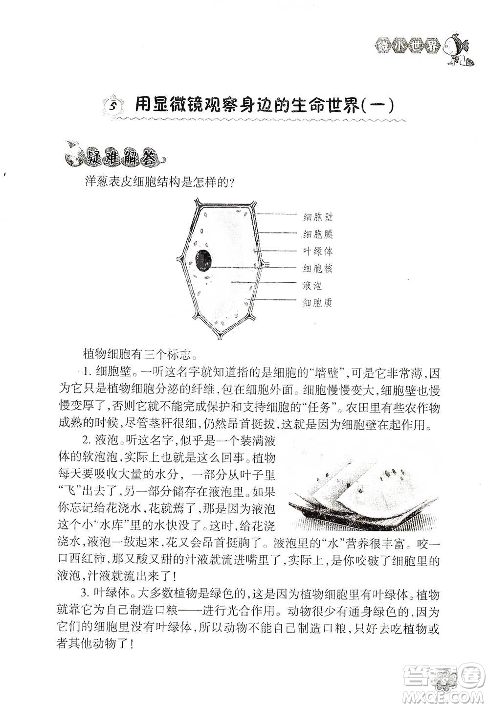 浙江教育出版社2021同步科學拓展閱讀六年級下冊教科版參考答案