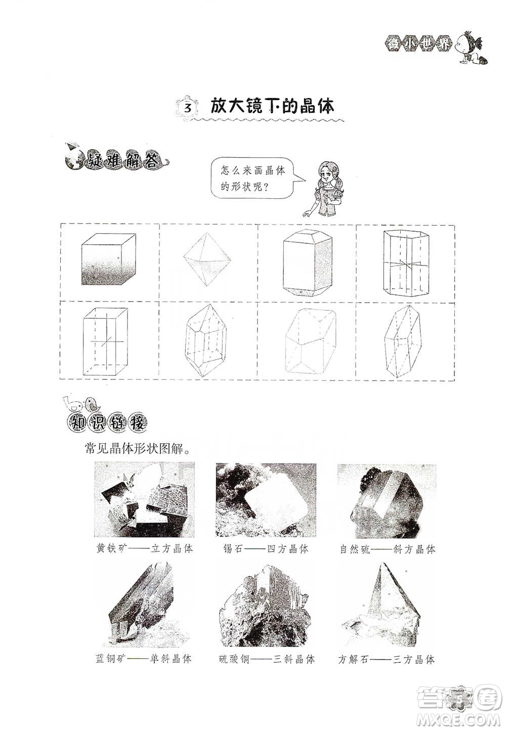 浙江教育出版社2021同步科學拓展閱讀六年級下冊教科版參考答案