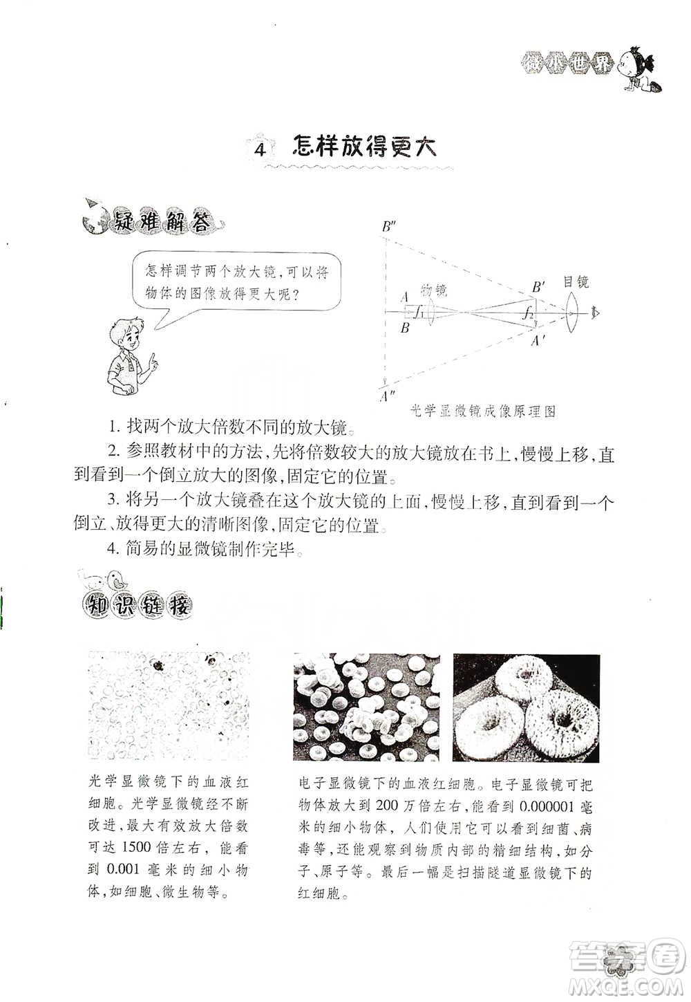 浙江教育出版社2021同步科學拓展閱讀六年級下冊教科版參考答案