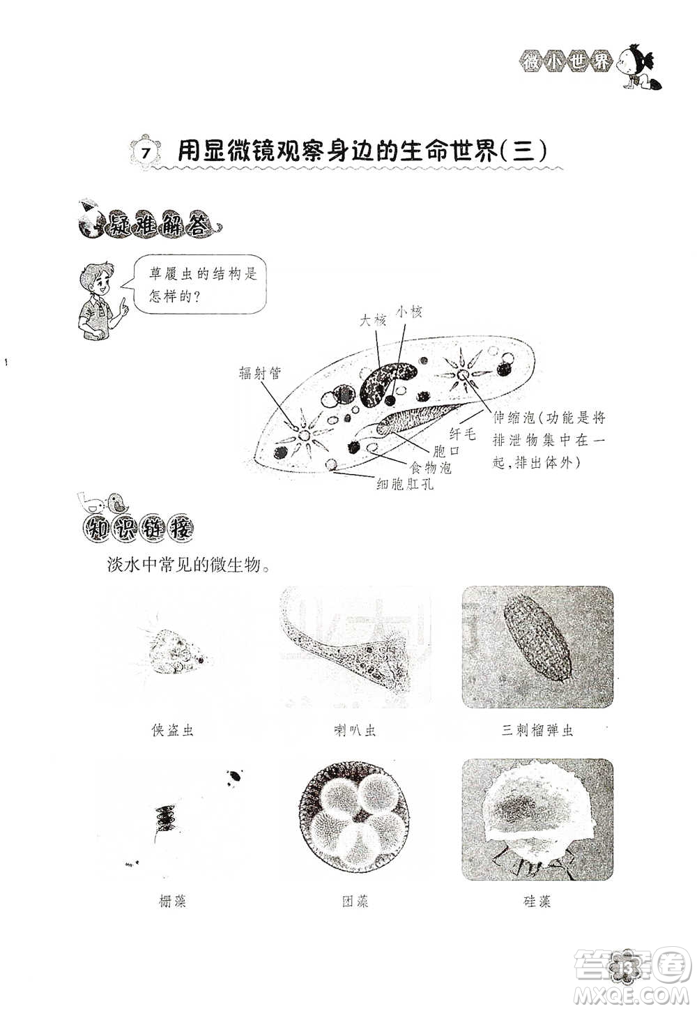 浙江教育出版社2021同步科學拓展閱讀六年級下冊教科版參考答案