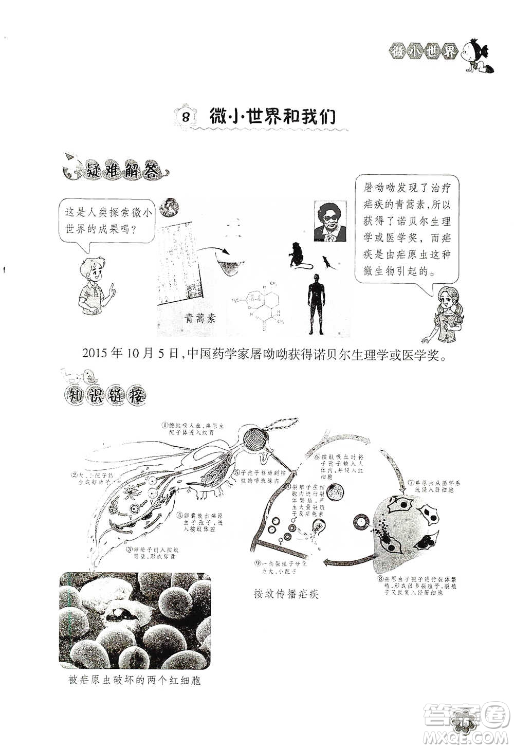 浙江教育出版社2021同步科學拓展閱讀六年級下冊教科版參考答案