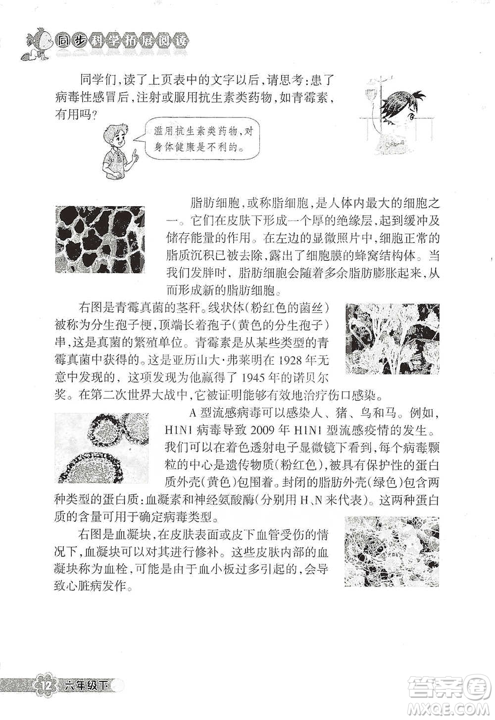 浙江教育出版社2021同步科學拓展閱讀六年級下冊教科版參考答案