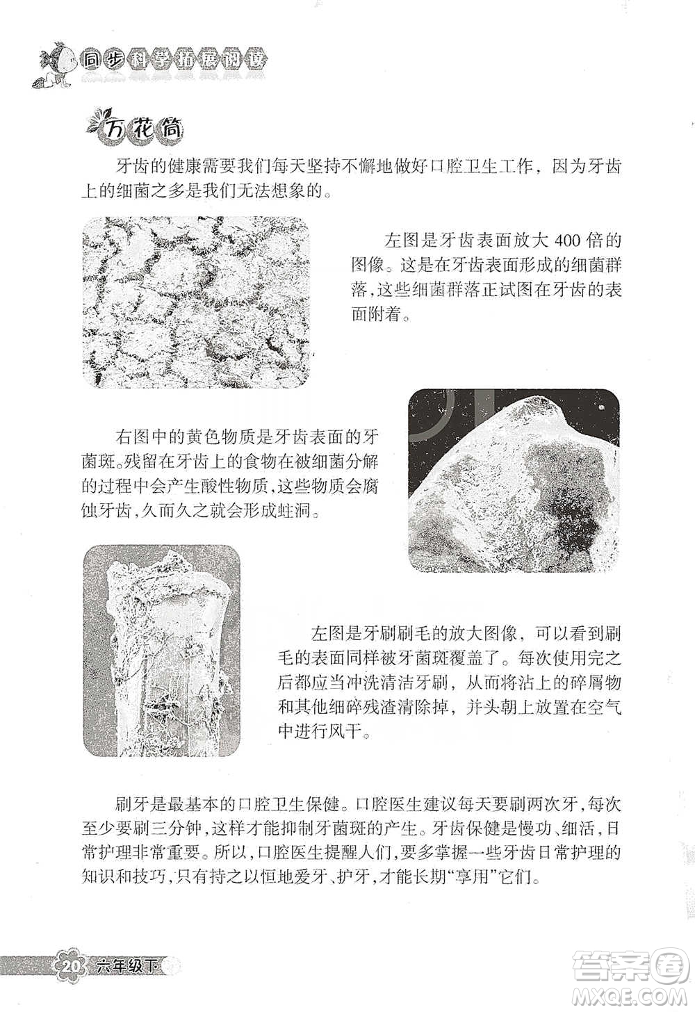 浙江教育出版社2021同步科學拓展閱讀六年級下冊教科版參考答案
