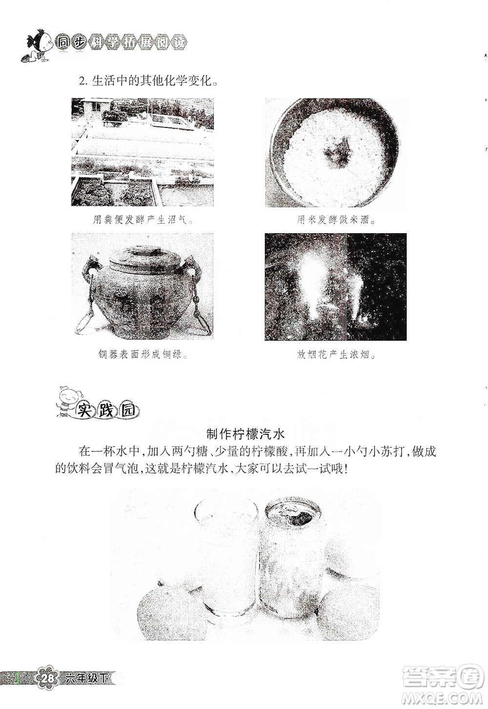 浙江教育出版社2021同步科學拓展閱讀六年級下冊教科版參考答案