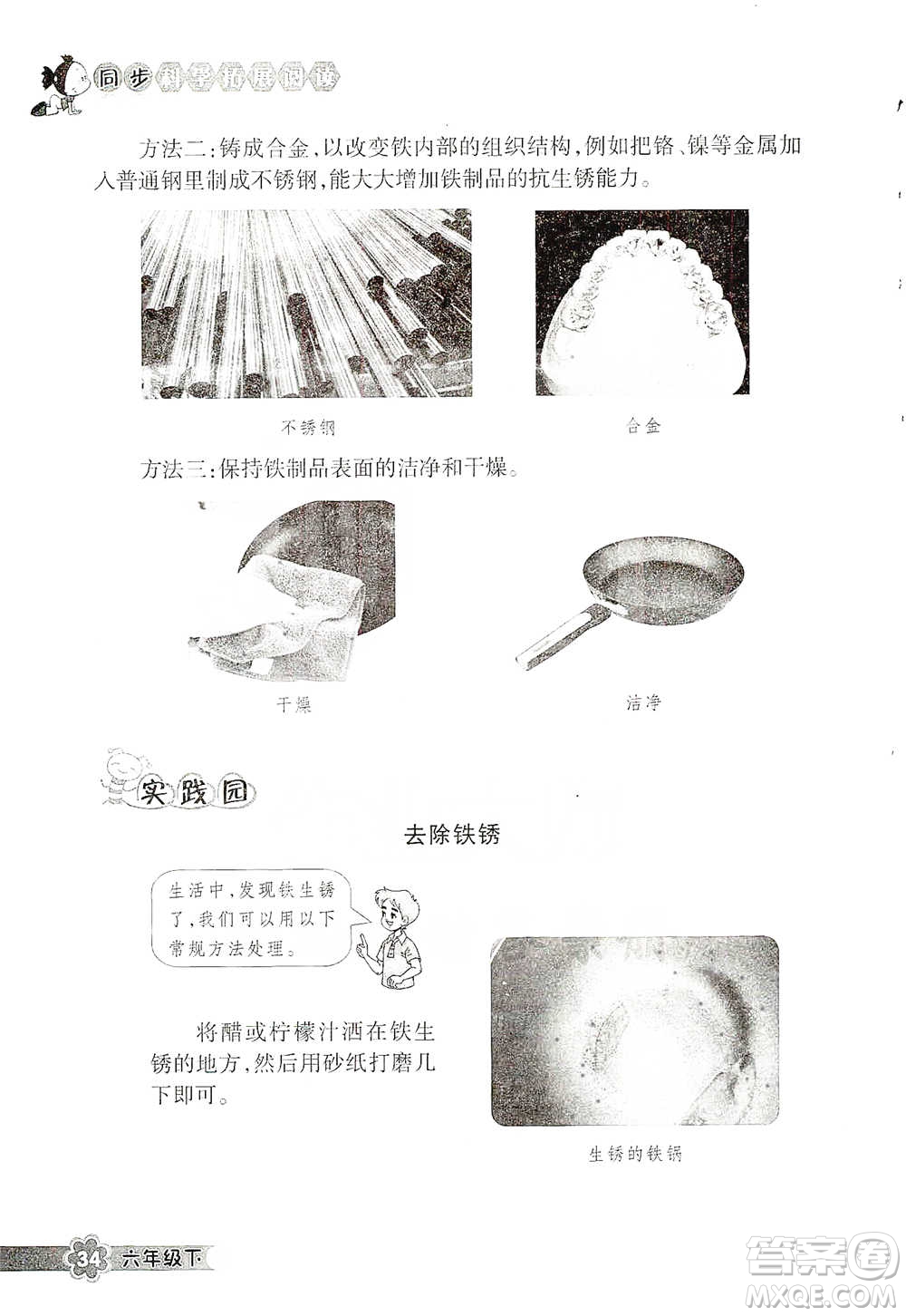 浙江教育出版社2021同步科學拓展閱讀六年級下冊教科版參考答案