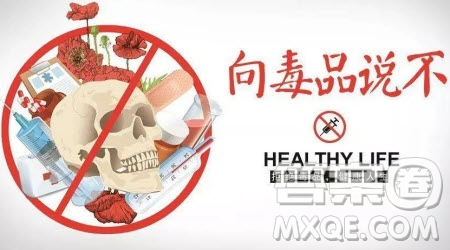 向毒品說不話題作文600字 關于向毒品說不的話題作文600字