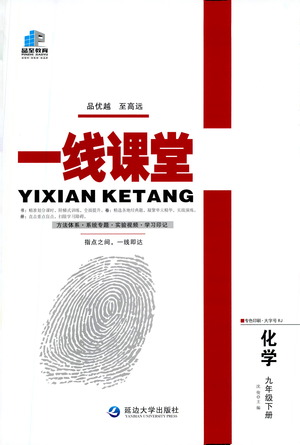 延邊大學(xué)出版社2021一線課堂九年級(jí)化學(xué)下冊(cè)人教版答案