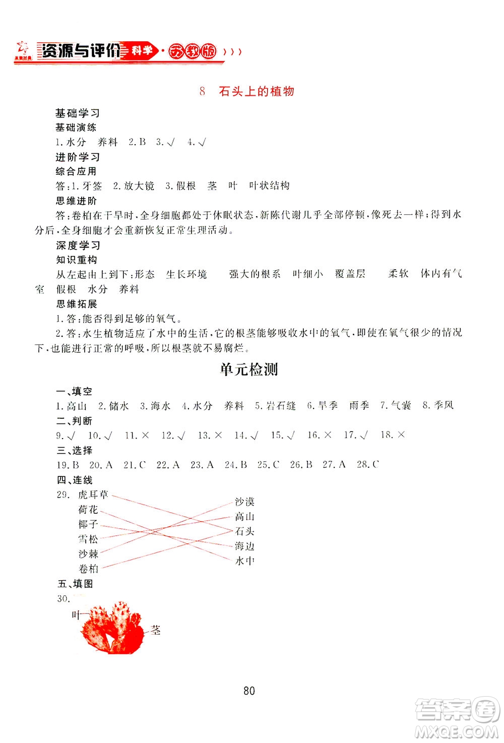 黑龍江教育出版社2021資源與評價(jià)三年級科學(xué)下冊蘇教版答案