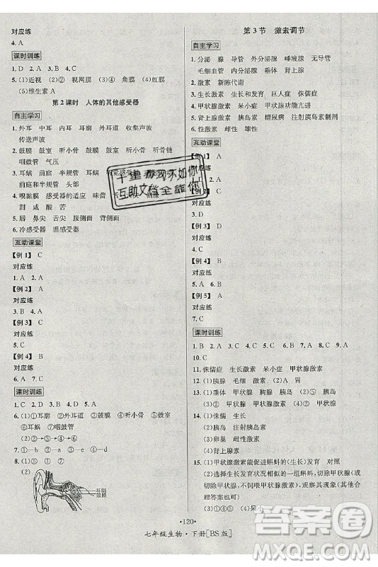 海南出版社2021名師名題生物七年級下冊北師版答案