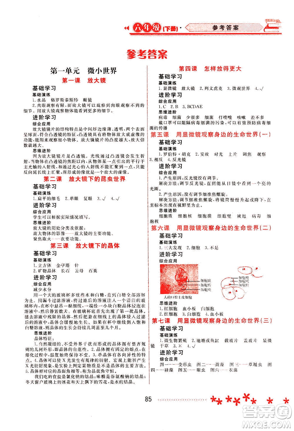 黑龍江教育出版社2021資源與評價(jià)六年級(jí)科學(xué)下冊教科版答案