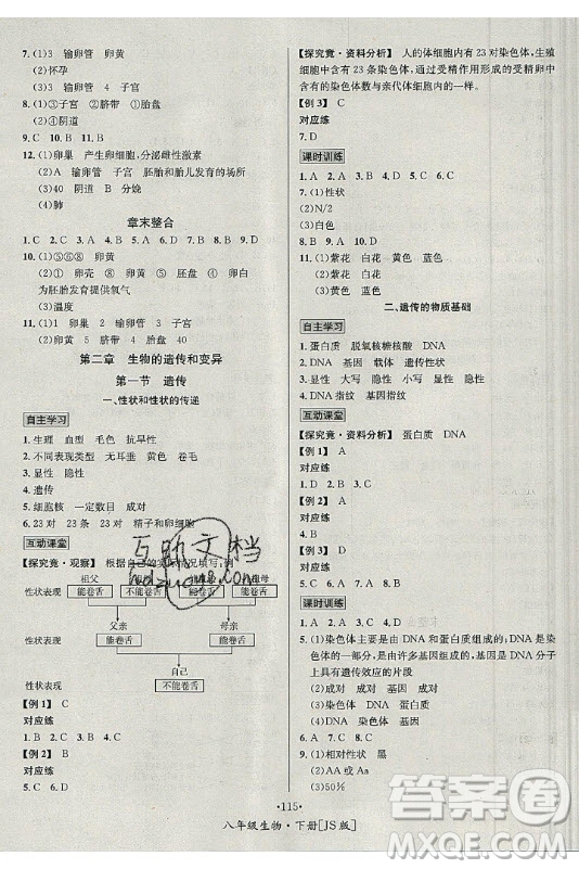 海南出版社2021名師名題生物八年級下冊JS冀少版答案