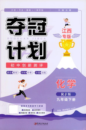江西美術(shù)出版社2021奪冠計(jì)劃化學(xué)九年級(jí)下冊(cè)RJ人教版江西專版答案