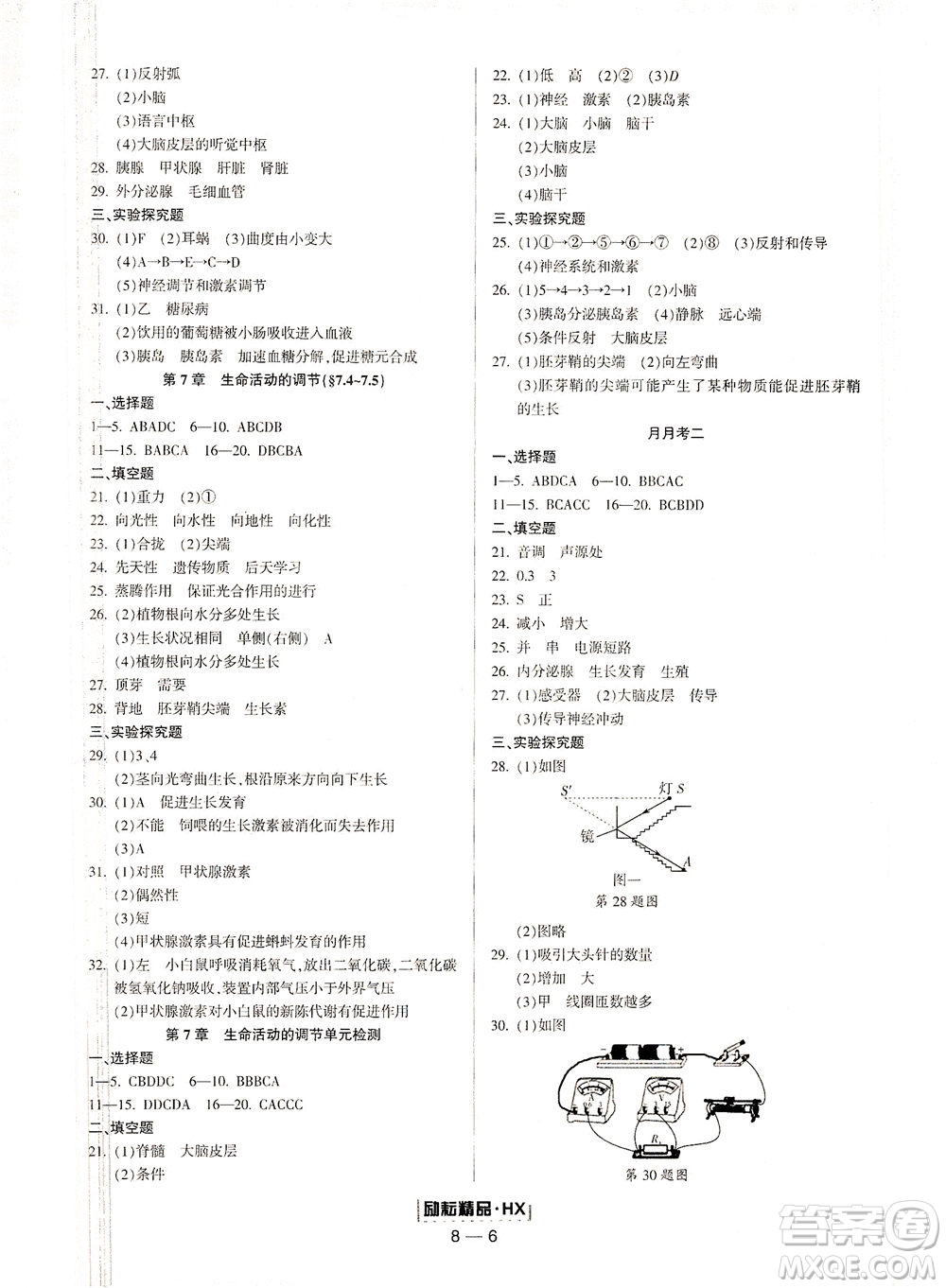 延邊人民出版社2021勵(lì)耘活頁七年級(jí)科學(xué)下冊(cè)華師大版答案