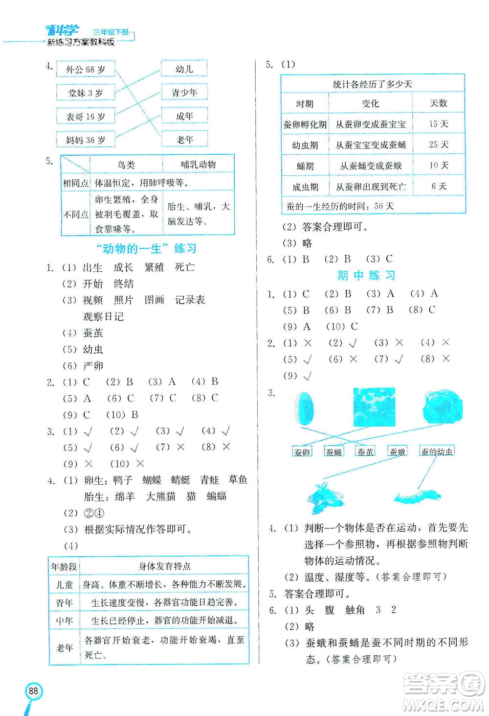 河北美術(shù)出版社2021新練習(xí)方案科學(xué)三年級(jí)下冊(cè)JK教科版答案