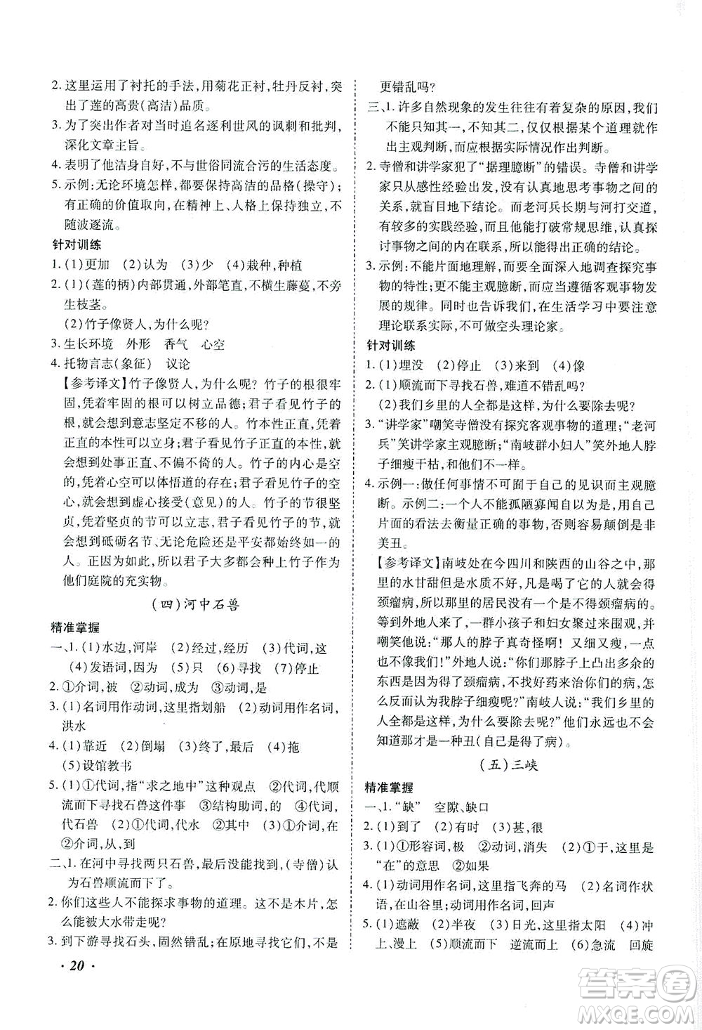 延邊教育出版社2021本土攻略精準(zhǔn)復(fù)習(xí)方案九年級(jí)語(yǔ)文下冊(cè)人教版答案