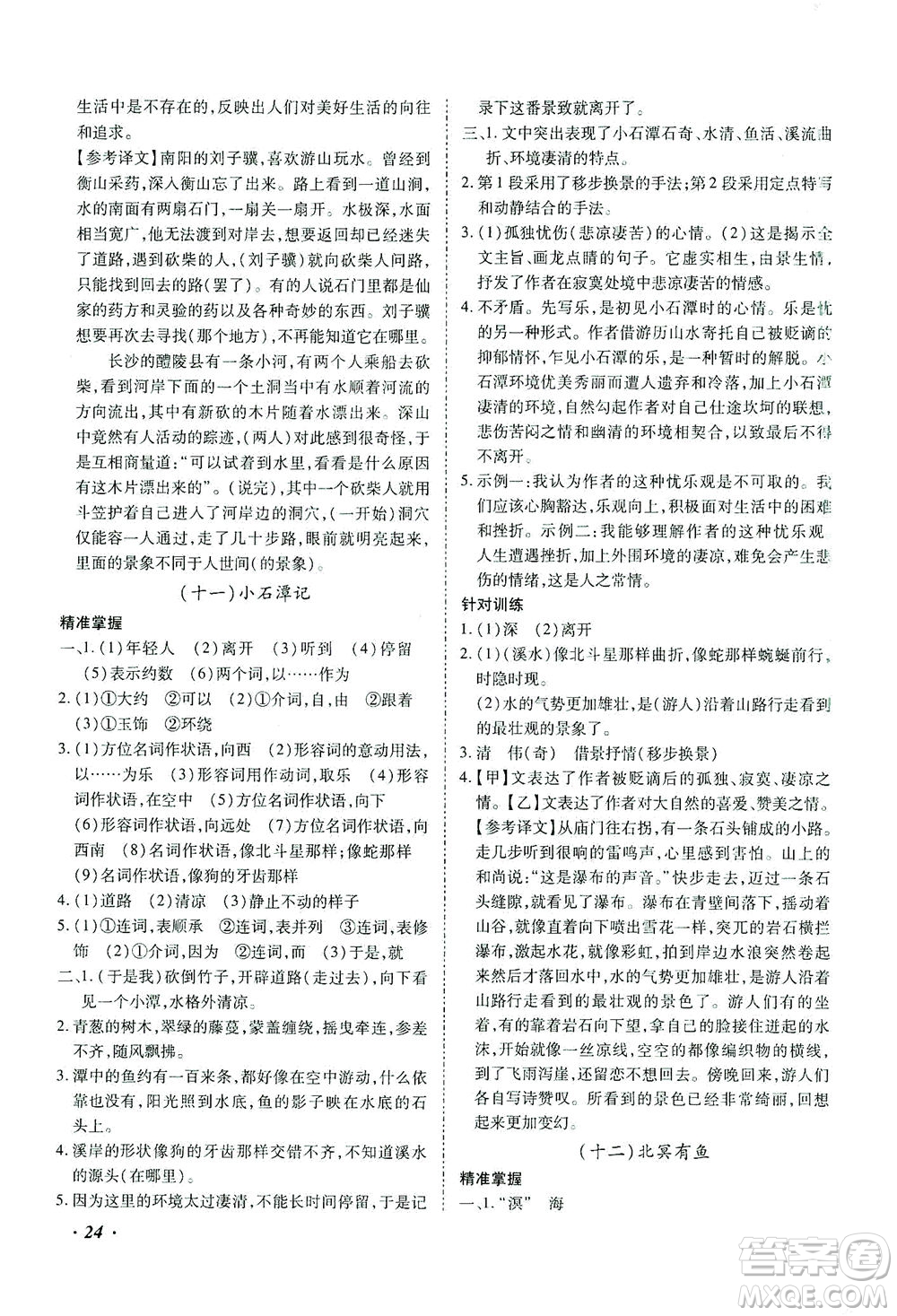 延邊教育出版社2021本土攻略精準(zhǔn)復(fù)習(xí)方案九年級(jí)語(yǔ)文下冊(cè)人教版答案