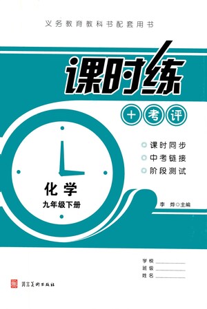 河北美術出版社2021課時練+考評九年級化學下冊人教版答案