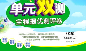 江蘇人民出版社2021單元雙測全程提優(yōu)測評卷九年級下冊化學(xué)滬教版參考答案