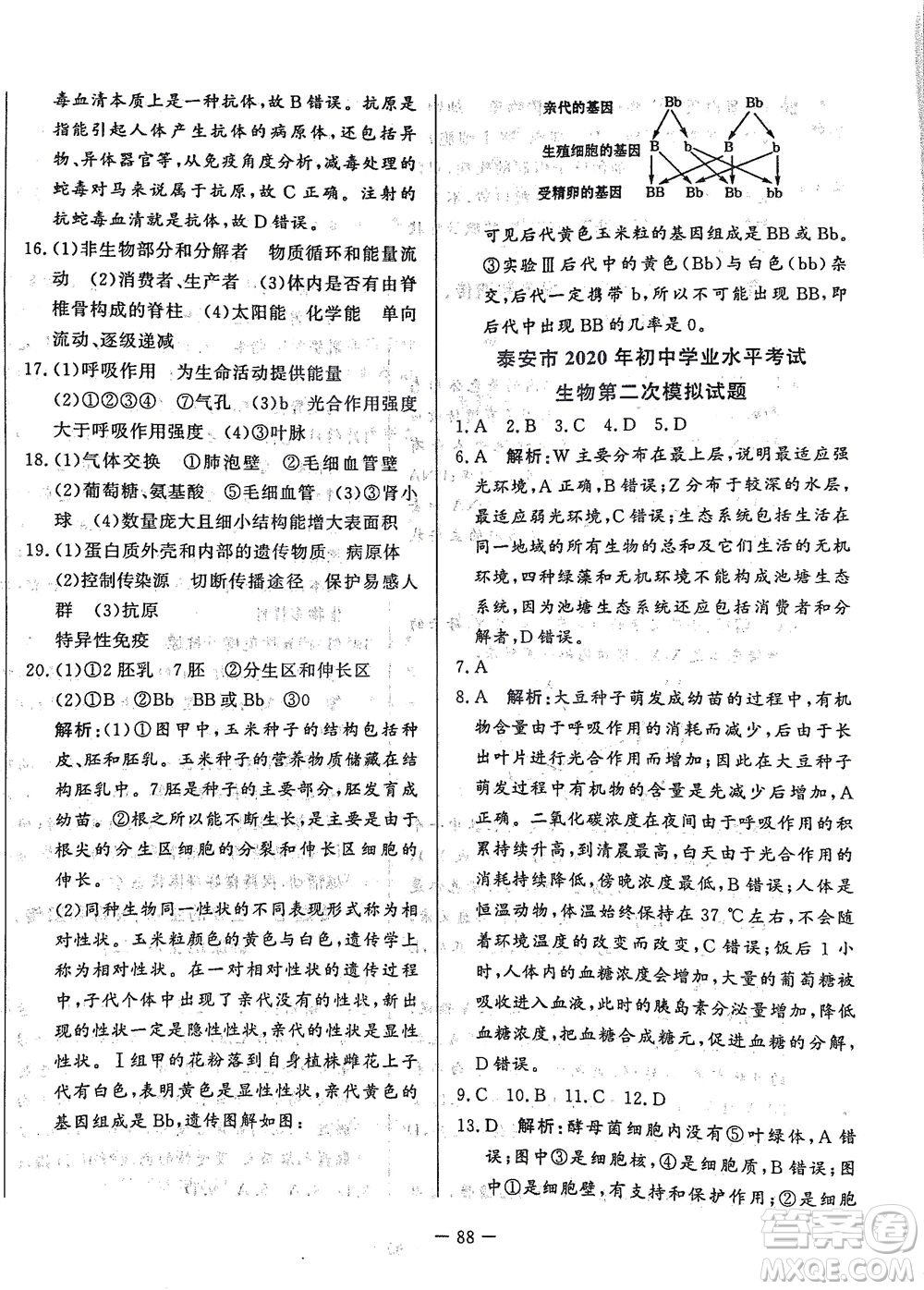 山東文藝出版社2021初中單元提優(yōu)測(cè)試卷八年級(jí)生物下冊(cè)魯教版五四學(xué)制答案