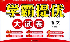 寧夏人民教育出版社2021經(jīng)綸學(xué)典學(xué)霸提優(yōu)大試卷六年級(jí)下冊(cè)語文參考答案