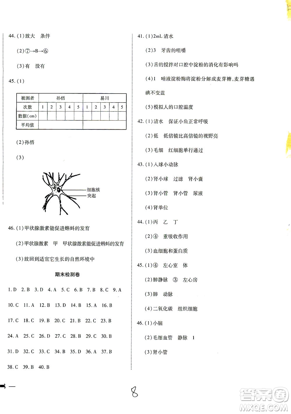 河北教育出版社2021省考標(biāo)準(zhǔn)卷七年級生物下冊人教版答案